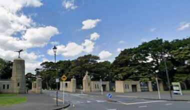 Police at Auckland Domain: Items thought to be human remains actually a rat