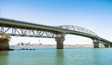 We shouldn’t sell our state assets unless we’re building – Nick Leggett