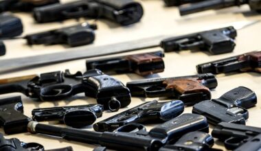 Minister Van Oosten vraagt België en Duitsland verkoop gaspistolen aan banden te leggen