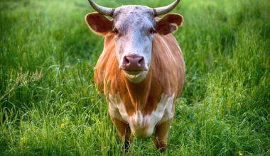 Biggest Meat Producers Unleashing More Methane Than Biggest Oil Firms