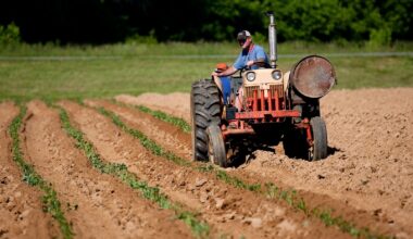 Agricultor trabajando.
