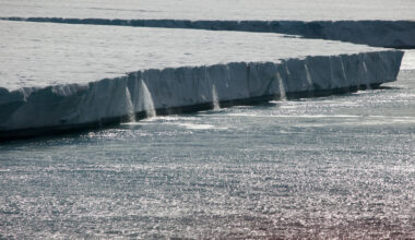 The Arctic is still warming, so why no new sea ice low record since 2012?