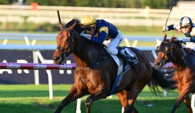 Kiwis set to dominate Australia’s A$20m glamour horse race