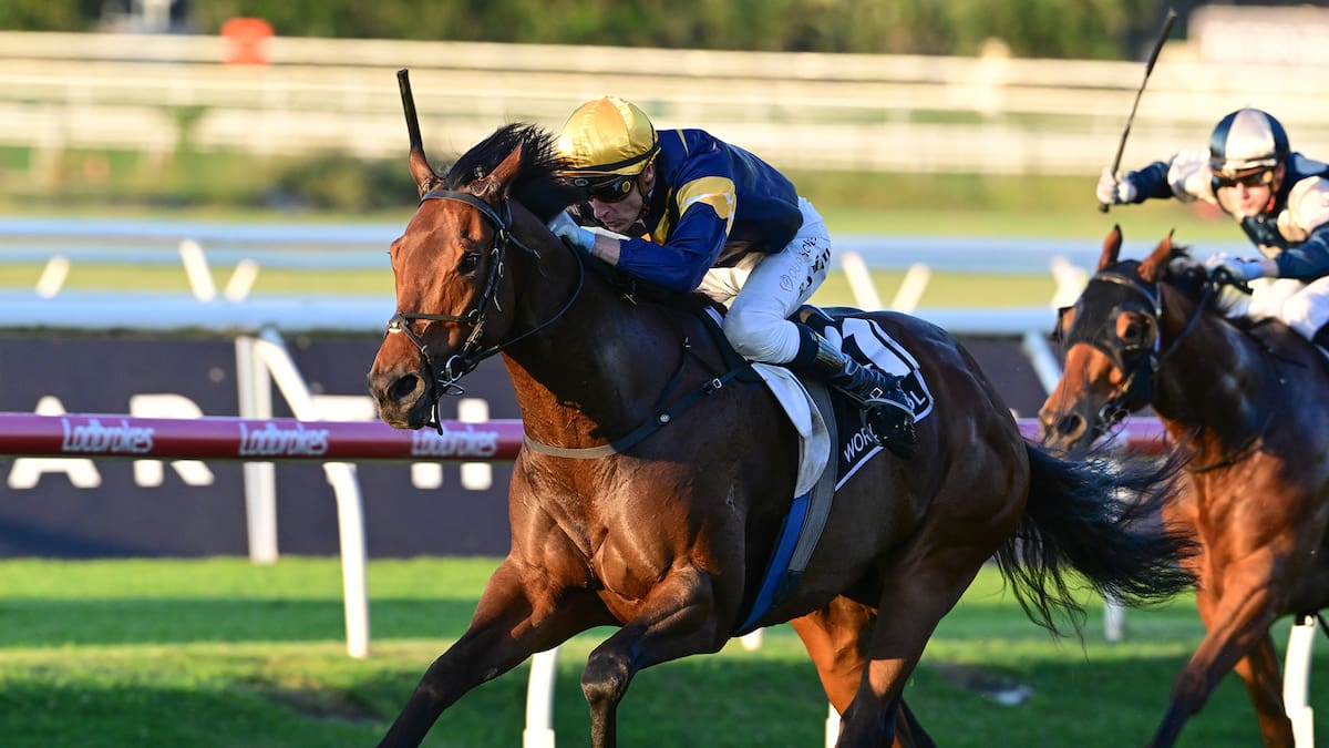 Kiwis set to dominate Australia’s A$20m glamour horse race