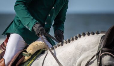 Show Jumping Association of Ireland engaged in settlement talks – The Irish Times
