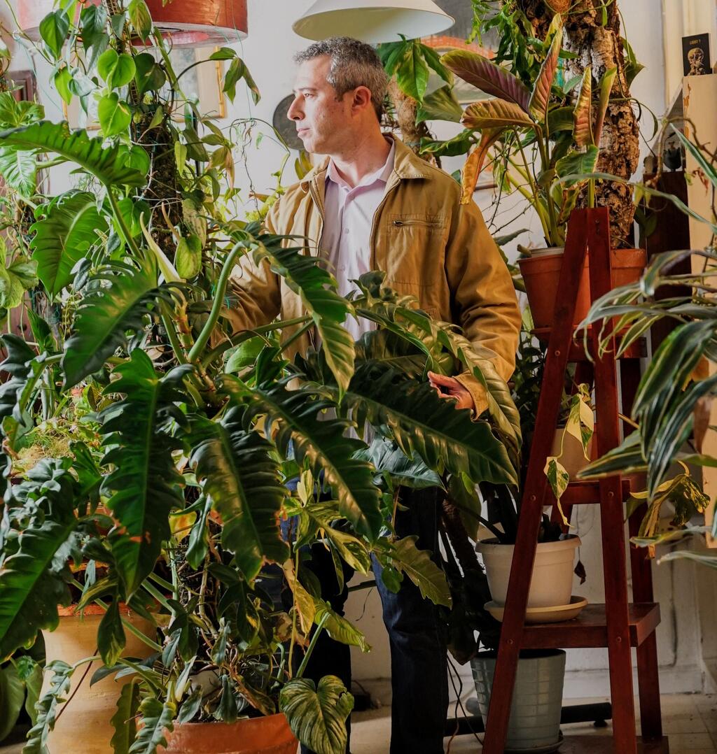 שפע של צמחים בדירה בשכונת שפירא