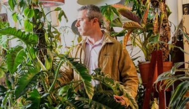 How one man turned his apartment into a tropical retreat