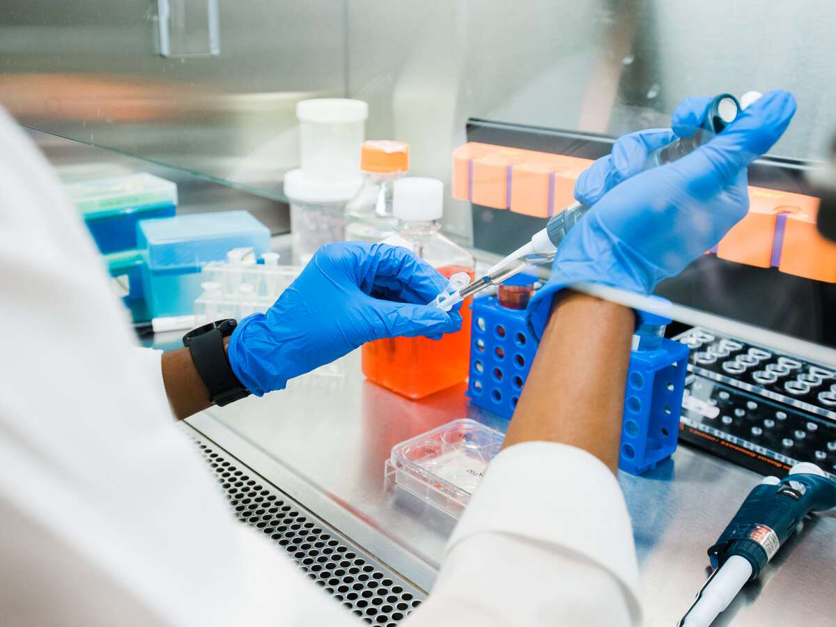 Close-up, the hands of a MD/PhD student, Courtney A. Swain (Graduate Student, Cancer Biology) are wearing blue PPE gloves while using a pipette in performing cancer research in the Shevde-Samant Lab, June 2022.