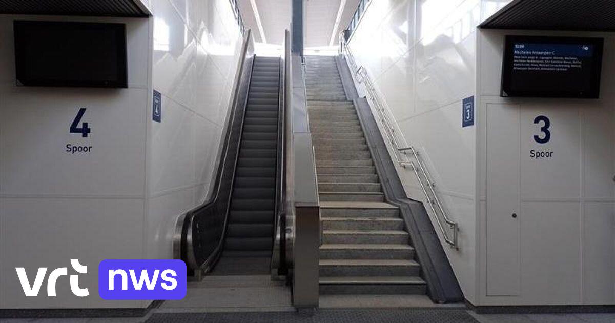Grootschalige controleactie aan station Vilvoorde: "Ruim een derde van gecontroleerde personen had drugs bij" | VRT NWS: nieuws