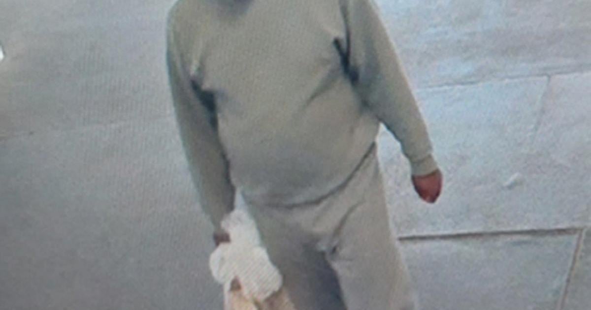 Sex attack migrant deported 'with no right to return' after UK-wide manhunt