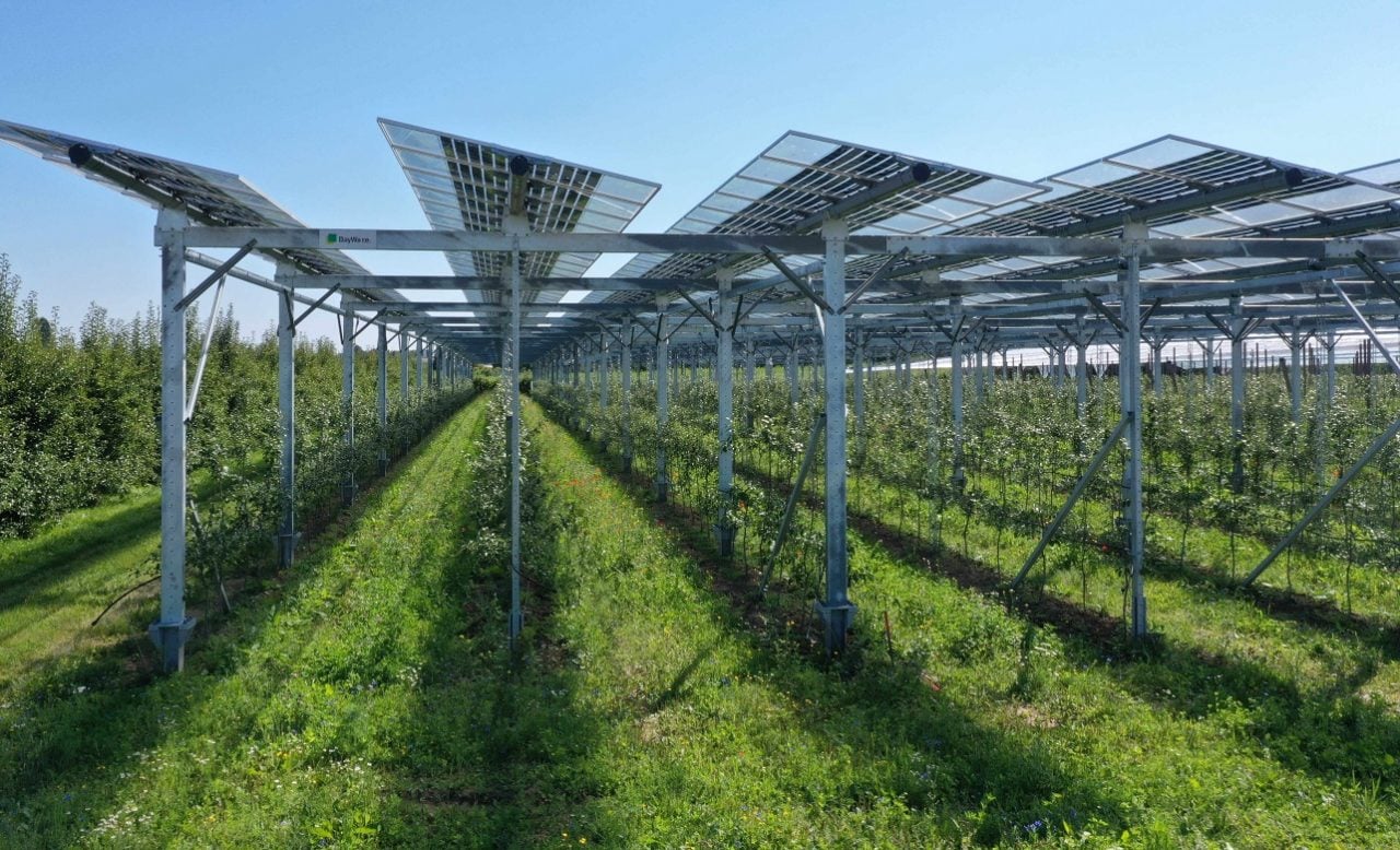 AgriPV projects in Spain now eligible for farming subsidies