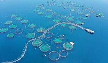 EU blue economy salaries: highest paid are in energy, shipbuilding and transport