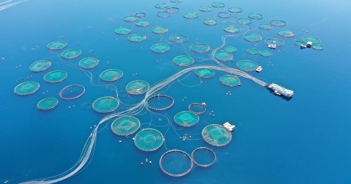 EU blue economy salaries: highest paid are in energy, shipbuilding and transport