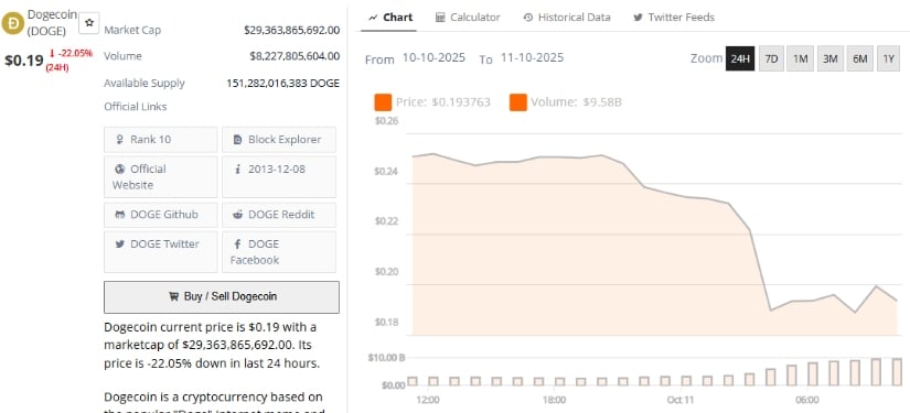 Outlook & Key Levels to Watch