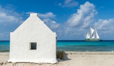 Bonaire, Greenpeace demand climate protection at Dutch court