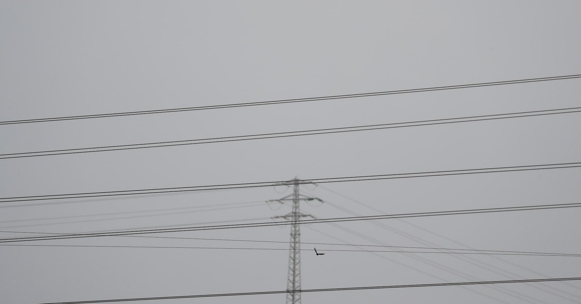 Spain's grid operator warns of new voltage swings, urges measures to avoid blackout | Reuters