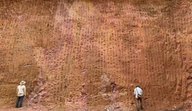 Jazida de terras raras em Minas Gerais