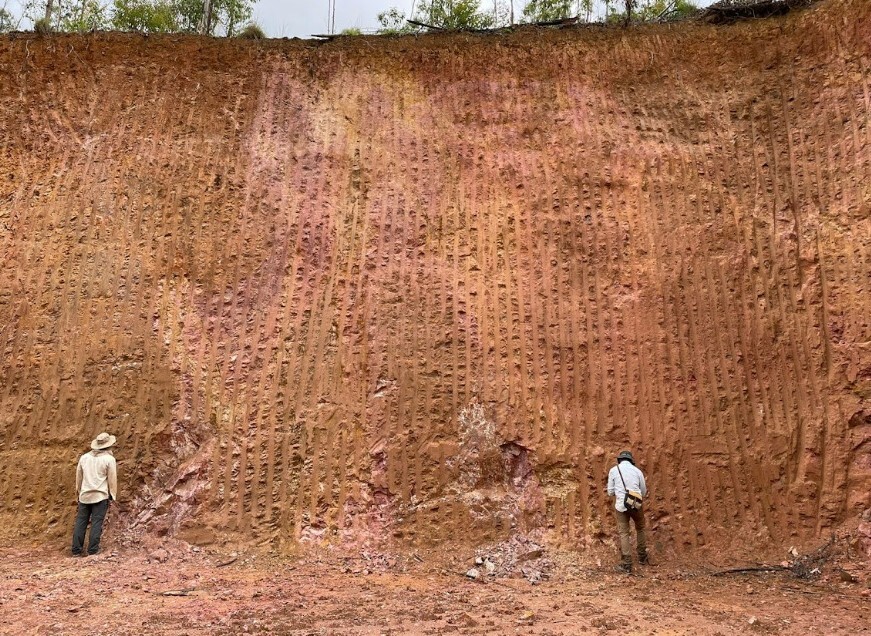 Jazida de terras raras em Minas Gerais