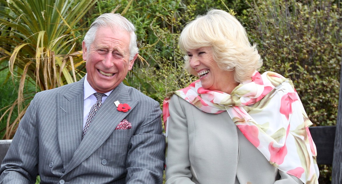 King Charles, Queen Camilla Just Twinned & So Do Harry & Meghan