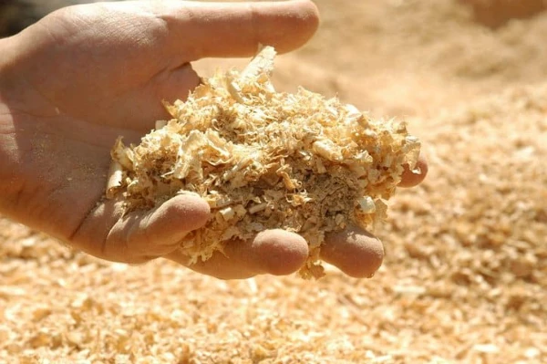 UK's Chemical Wood Pulp Market To See Modest Growth With a 11% CAGR Through 2035 - News and Statistics