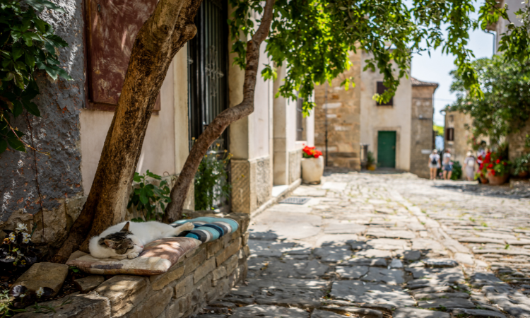 Croatia Embraces Slow Living As A New Travel Philosophy 1
