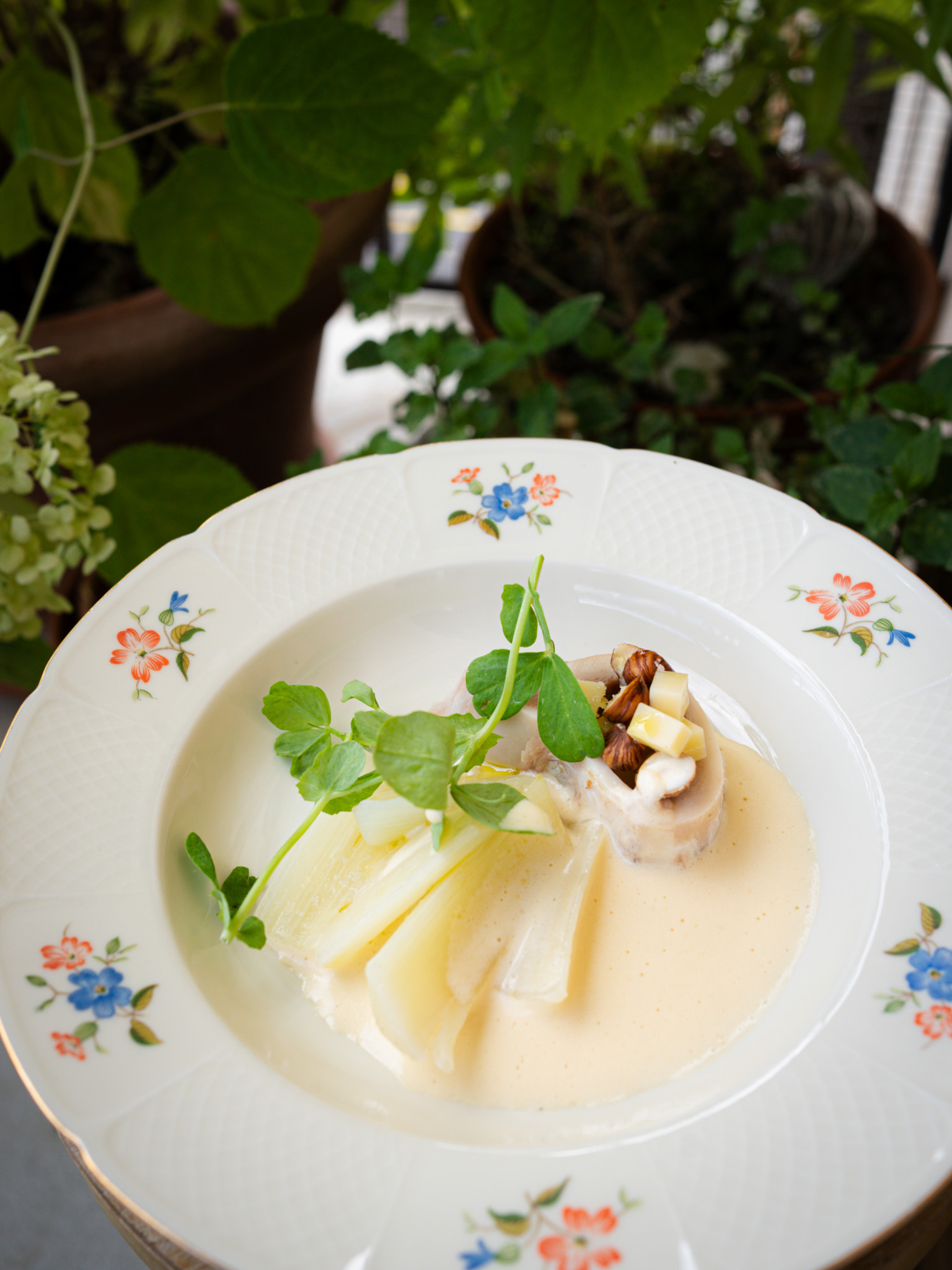 Plat de poireaux avec sauce crémeuse, garnis de noix et brins de cresson, sur une assiette décorée de fleurs. Plat de poireaux avec sauce crémeuse, garnis de noix et brins de cresson, sur une assiette décorée de fleurs.