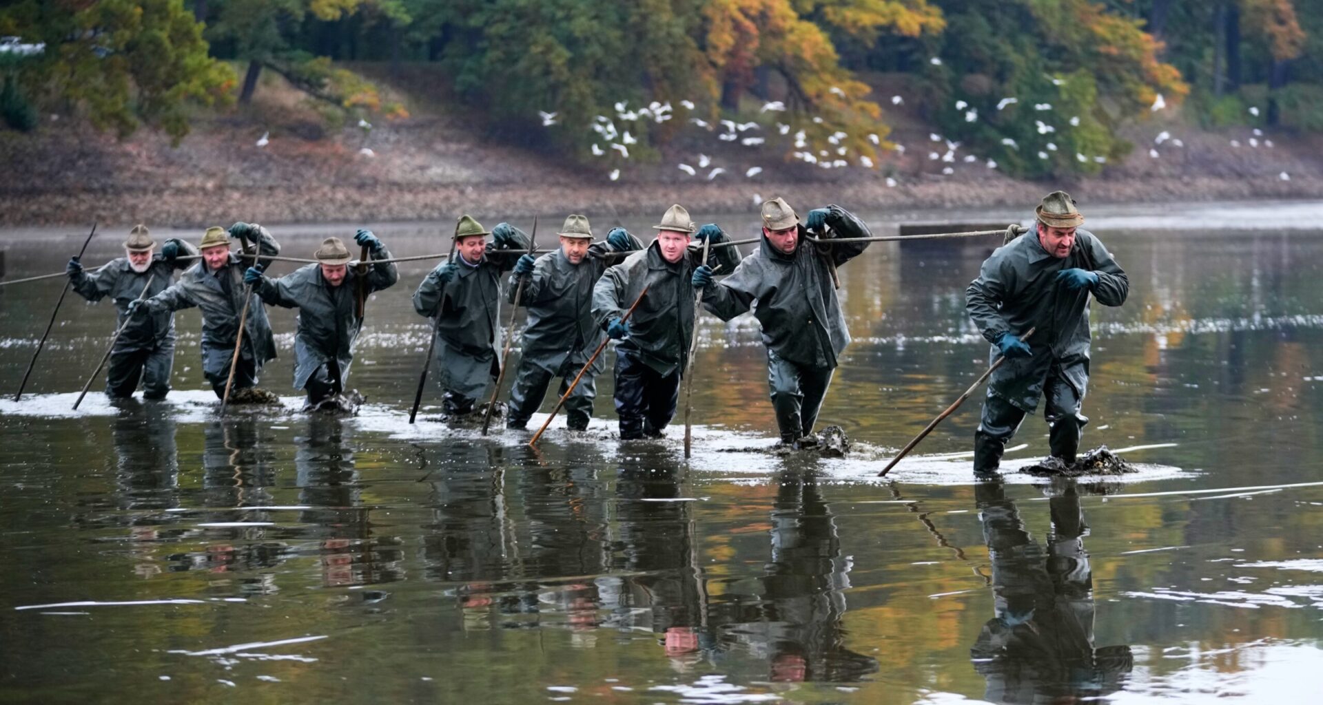 Photos show Czech fisherman hauling in Christmas carp for holiday tables