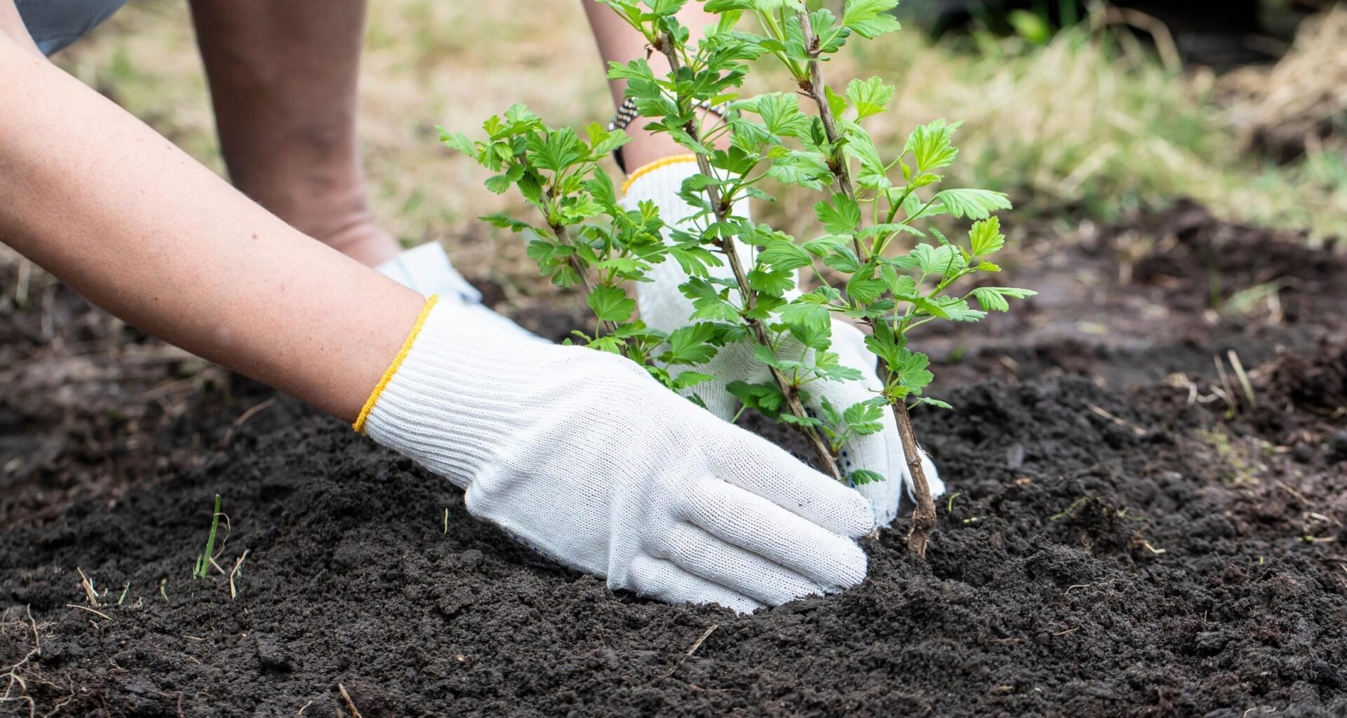 Smart carbon removal strategies could stabilize Earth's climate for centuries