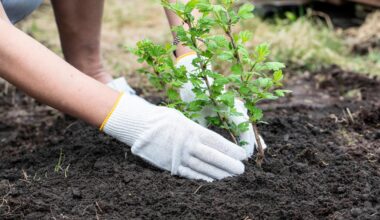 Smart carbon removal strategies could stabilize Earth's climate for centuries