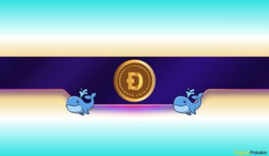 Is Dogecoin Gearing up for Further Rally?