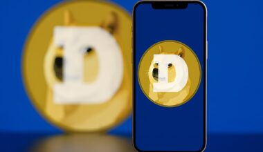 Dogecoin Whales Rock the Price – Is a $0.30 Breakout Next?