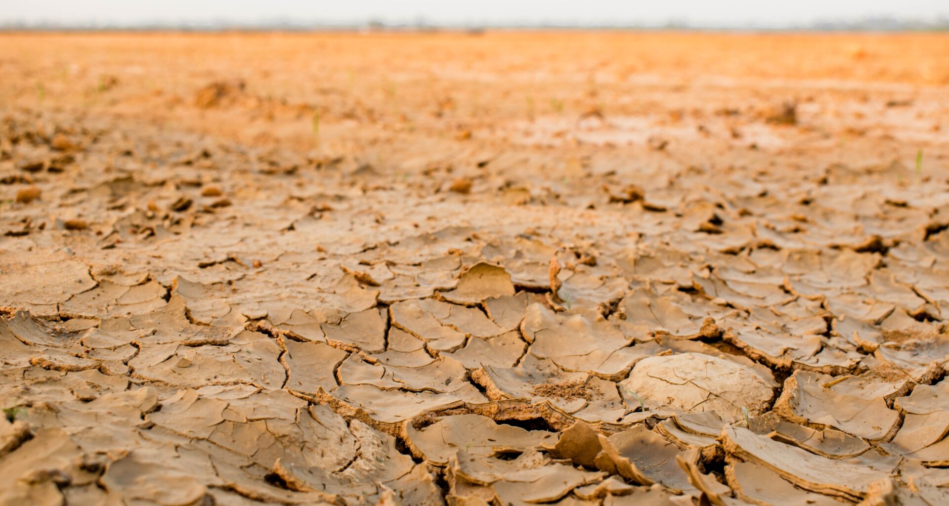 Bone-dry soil can trigger 'drought heat wave' events a nation away