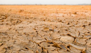 Bone-dry soil can trigger 'drought heat wave' events a nation away