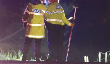 Waikato double fatal crash: Police appeal for witnesses after collision at Piarere