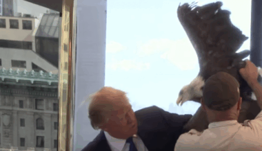 POTUS is his own 'crisis actor', stress-testing America by manufacturing insurrection-intent