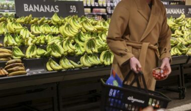 Ecuadorian banana workers file complaint over labor, environment issues