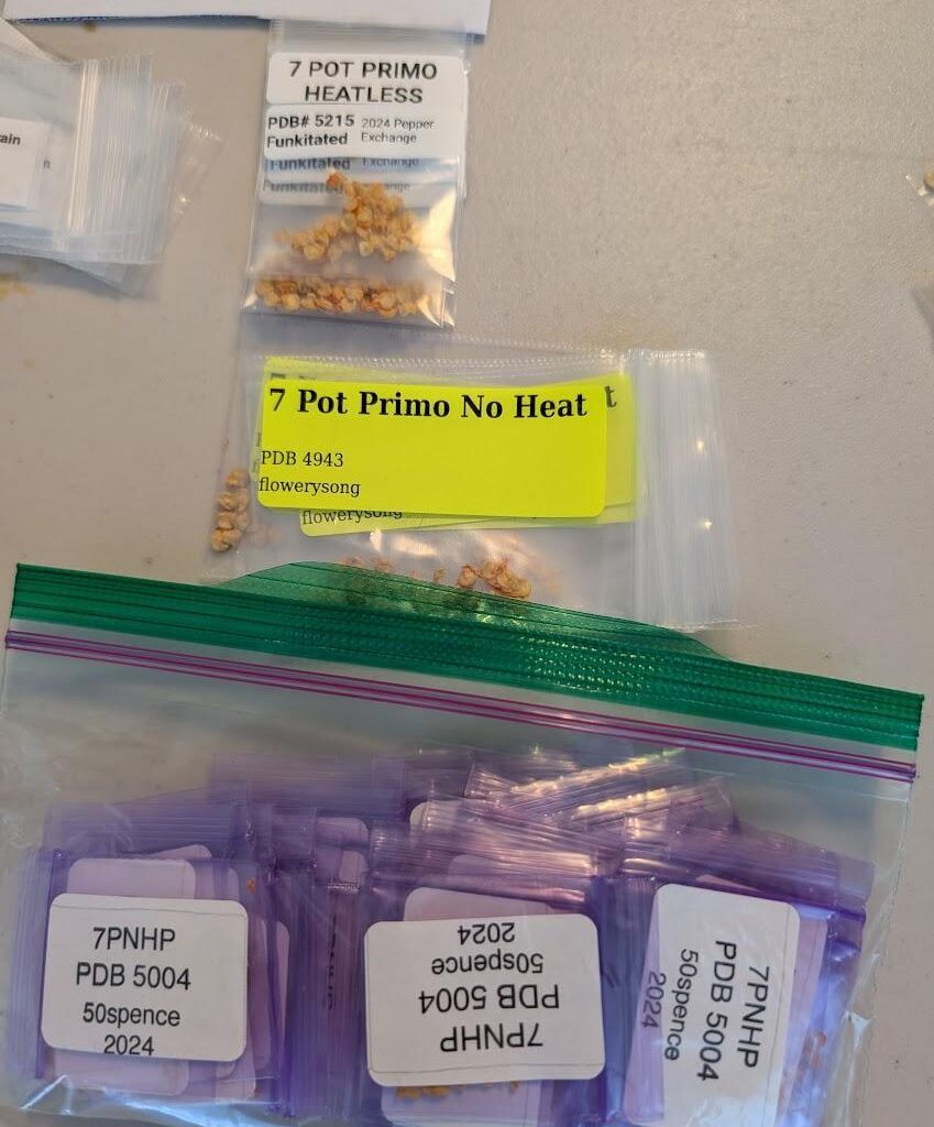 Für alle die gerne (scharfe) Chilli Samen tauschen wollen, schaut euch den internationalen 2025 Seed Xchange an!