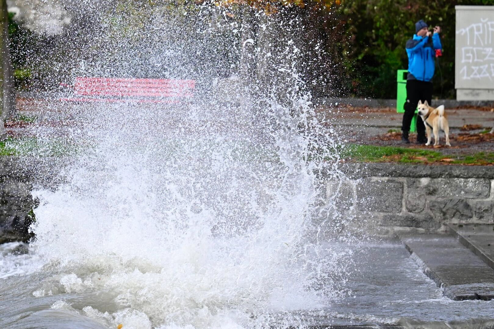 Ein Mensch fotografiert spritzendes Wasser an einem Flussufer, während ein Hund daneben steht.