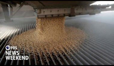 Minnesota farmers struggle to stay afloat as China boycotts U.S. soybeans