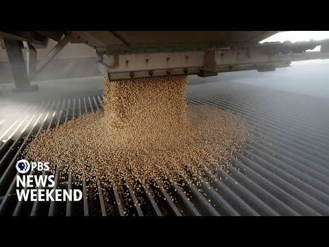 Minnesota farmers struggle to stay afloat as China boycotts U.S. soybeans