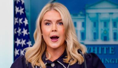 ‘She Must Resign’: Internet Unloads on Karoline Leavitt’s ‘Vile’, ‘Sick’, ‘Grossly Dark’ and ‘Dangerous’ Smear Against Democrats