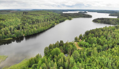 Forestry investment return in Finland rises to 14.9% in 2024