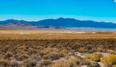 Cancelled solar megaproject reveals new Trump-era…