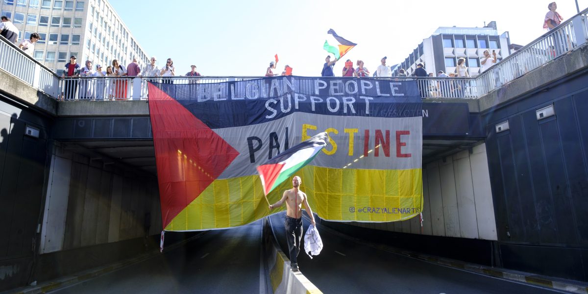 Palestine Protester Mahmoud Farajalah Dies in Detention in Brussels