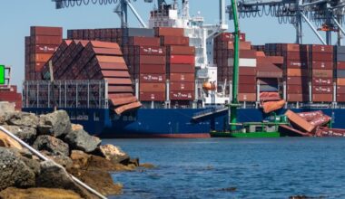 Trade and legal experts see up to 80% odds that the Supreme Court will rule against Trump's global tariffs