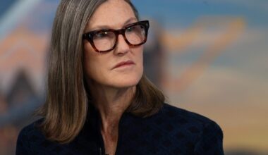 ‘Sad, if not damning’: Cathie Wood blasts the proxy firms who say Elon Musk’s $1 trillion pay package is just too rich