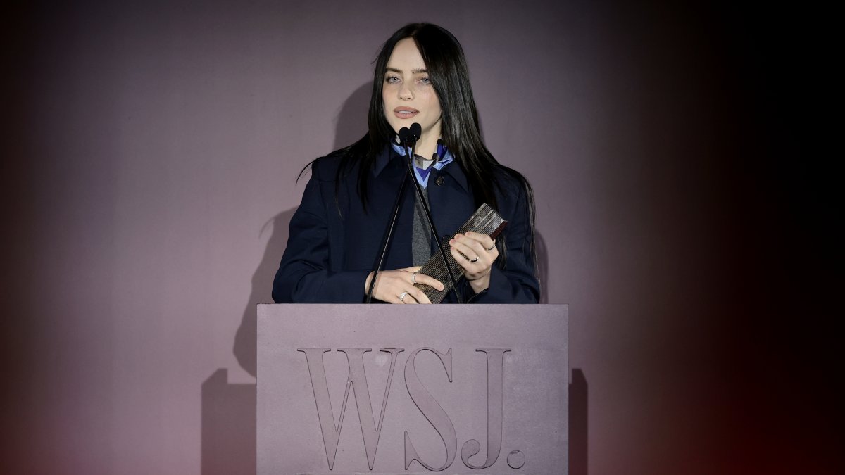 Billie Eilish donates $11M of tour earnings to environmental groups – NBC New York