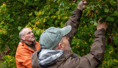How Iceland is learning from Scotland’s forestry sector