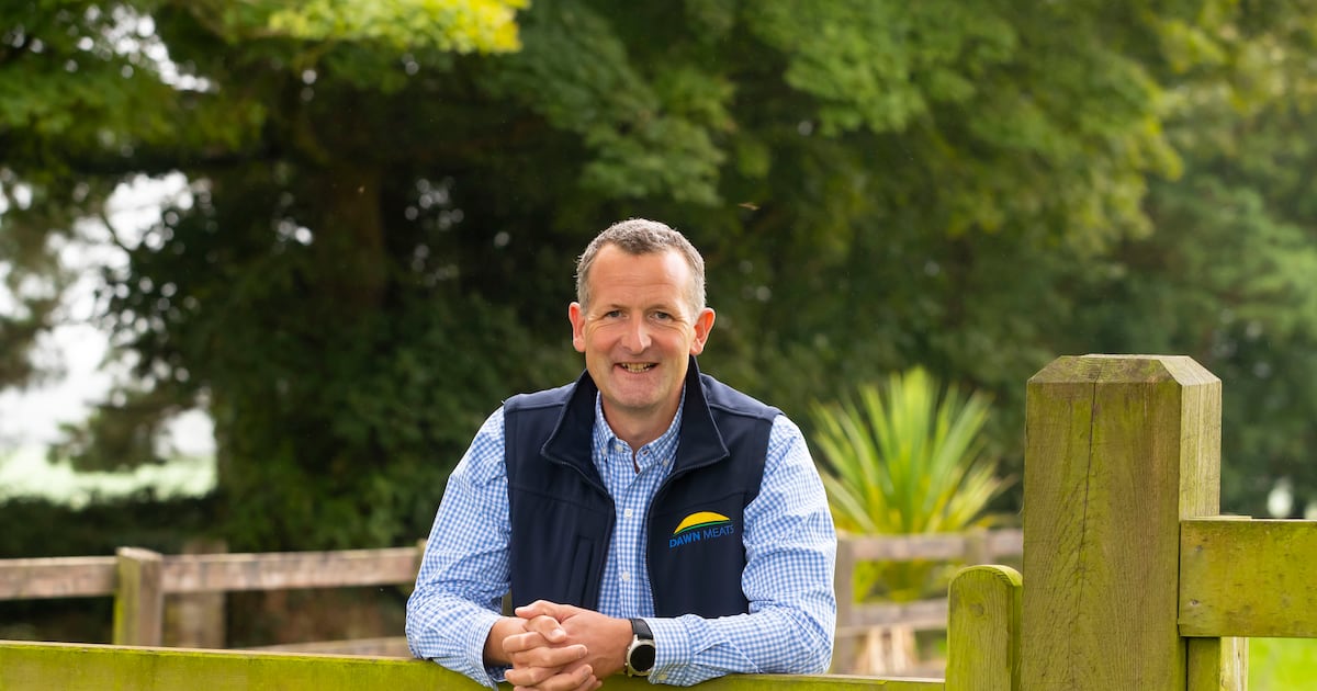 Dawn Meats pursued NZ deal due to lack of openings in Ireland and UK, says chief executive – The Irish Times