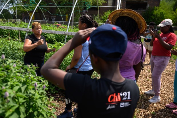 Director of "Food is Medicine" Frieda Graves teaches kids and teens about what Faith Farms grow in Gary, Indiana on Wednesday, July 5, 2023. (Andrew Burke-Stevenson/for the Post-Tribune)